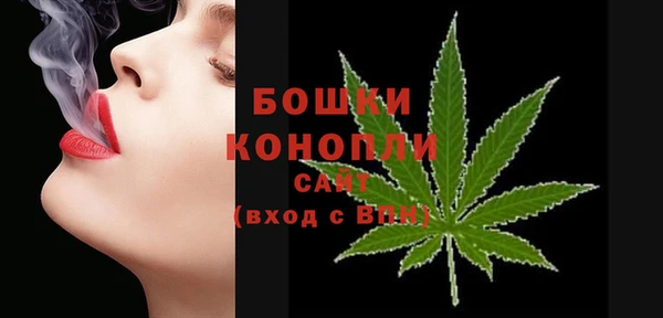 дмт Белокуриха