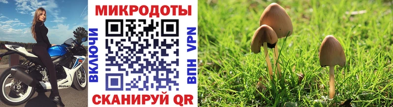 Галлюциногенные грибы Magic Shrooms Печора